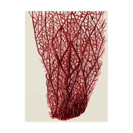 Fab Funky 'Red Corals 2 F' Canvas Art,24x32
